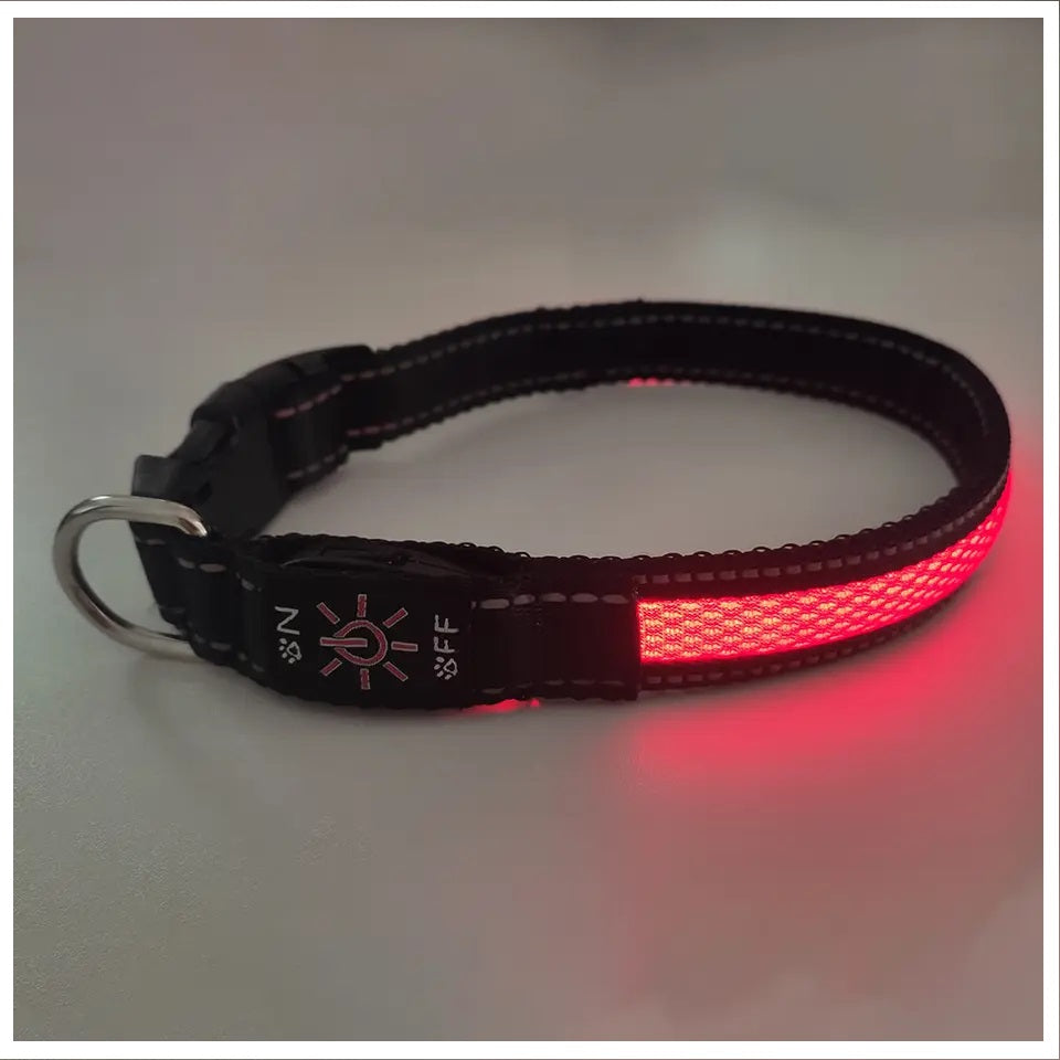 Collar Luz LED 3 modos Luz carga USB Perros Gatos Talla M Rojo