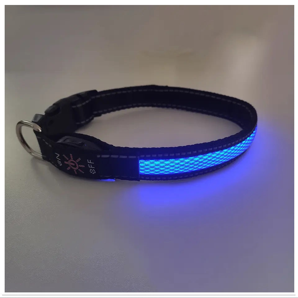 Collar Luz LED 3 modos Luz carga USB Perros Gatos Talla M Azul