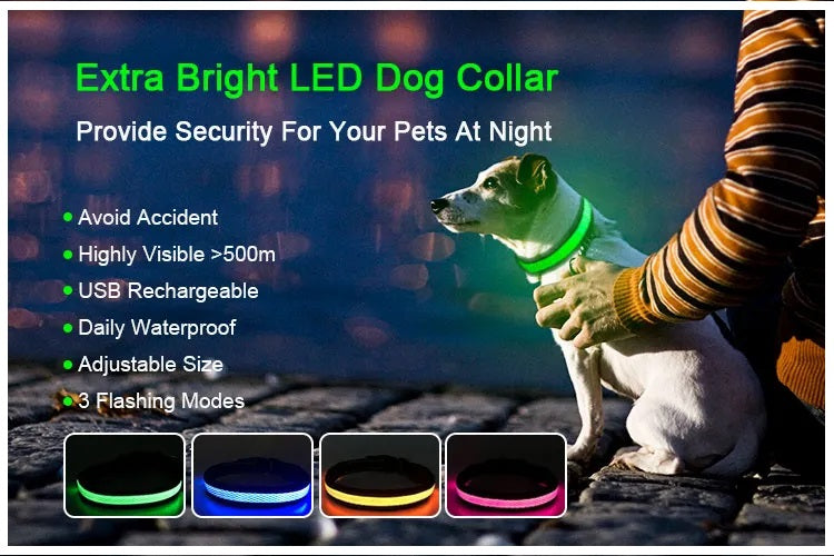 Collar Luz LED 3 modos Luz carga USB Perros Gatos Talla S Azul