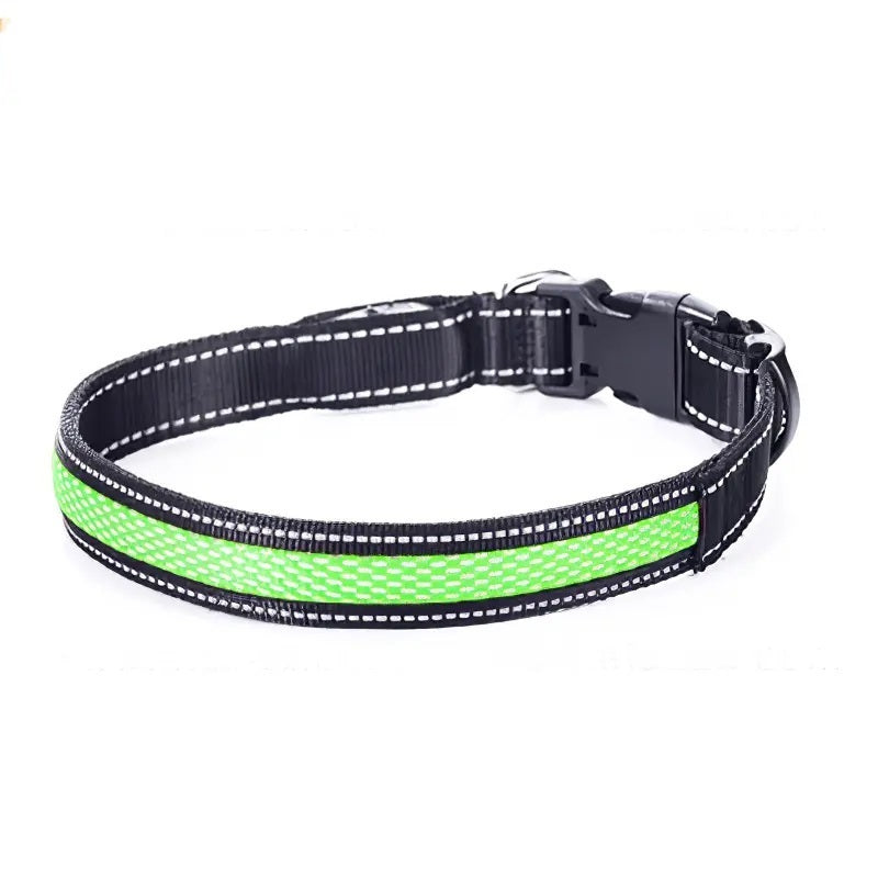 Collar Luz LED 3 modos Luz carga USB Perros Gatos Verde Talla M