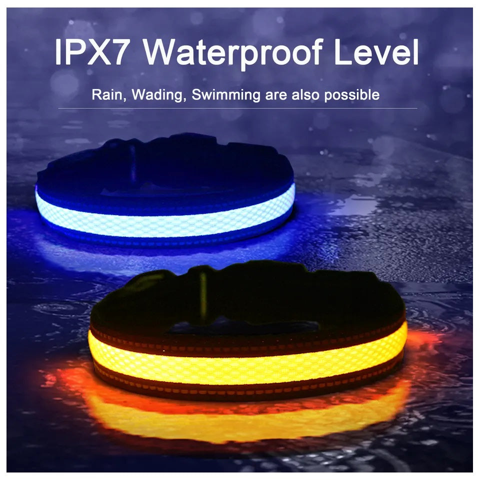 Collar Luz LED 3 modos Luz carga USB Perros Gatos Talla S Azul