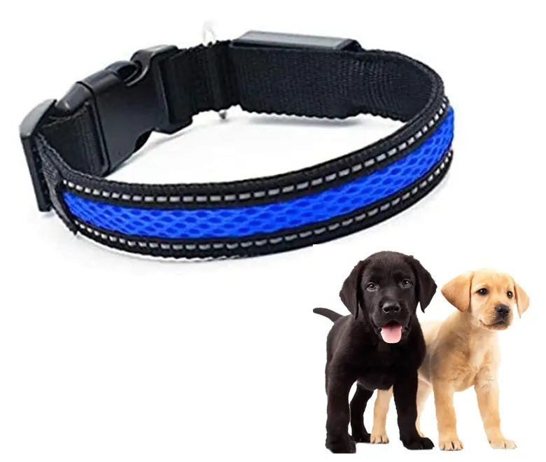 Collar Luz LED 3 modos Luz carga USB Perros Gatos Talla S Azul