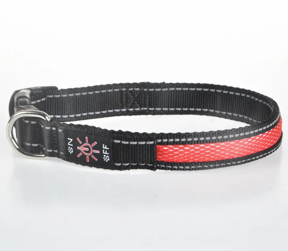 Collar Luz LED 3 modos Luz carga USB Perros Gatos Talla M Rojo