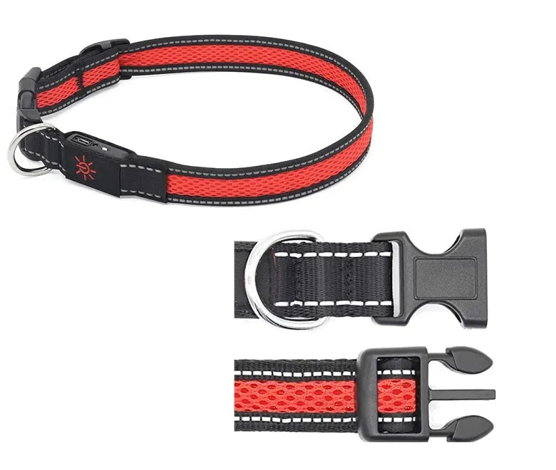 Collar Luz LED 3 modos Luz carga USB Perros Gatos Talla M Rojo