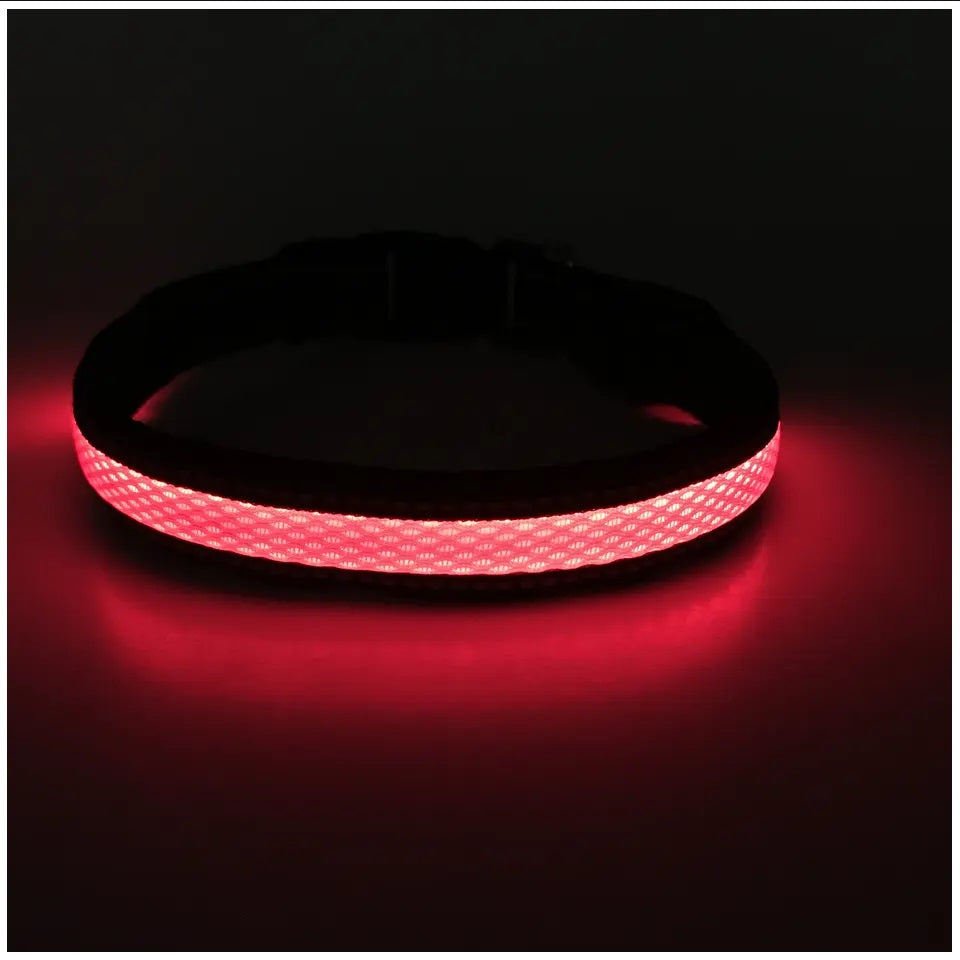 Collar Luz LED 3 modos Luz carga USB Perros Gatos Talla M Rojo