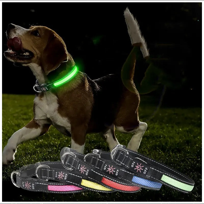 Collar Luz LED 3 modos Luz carga USB Perros Gatos Talla M Rojo