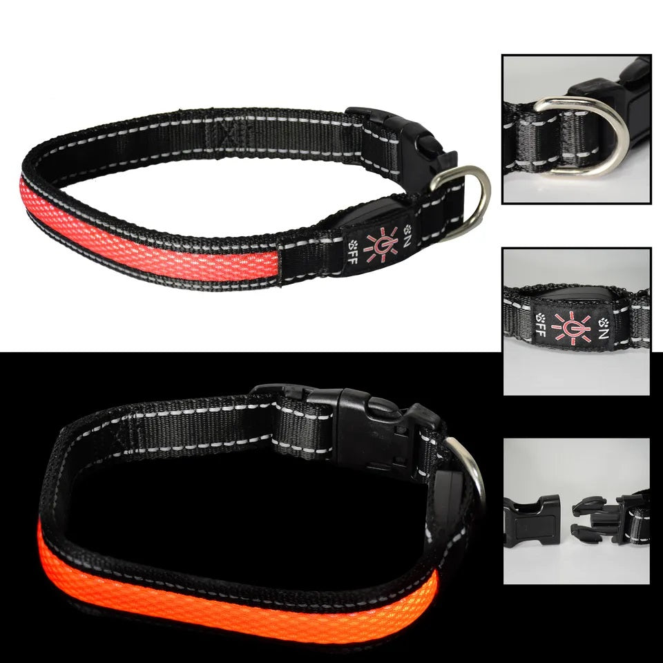Collar Luz LED 3 modos Luz carga USB Perros Gatos Talla M Rojo