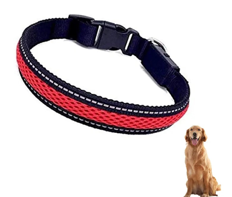 Collar Luz LED 3 modos Luz carga USB Perros Gatos Talla M Rojo