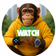 Logo oficial Monkeywatch